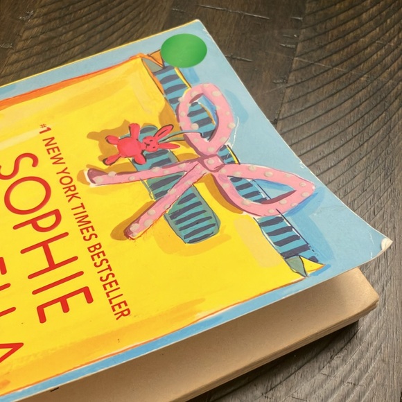 Shopaholic & Sister and Shopaholic & baby by Sophie Kinsella - Picture 3 of 7